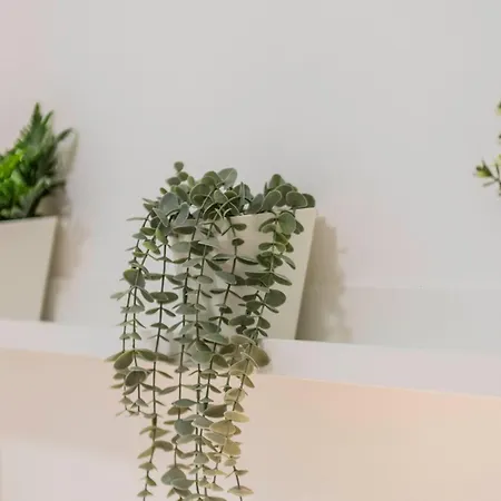 Bella In Duomo - 6 Guests *