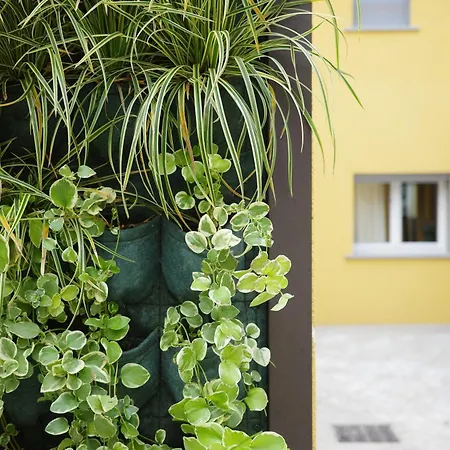 Hotel apartamentowy Agave In