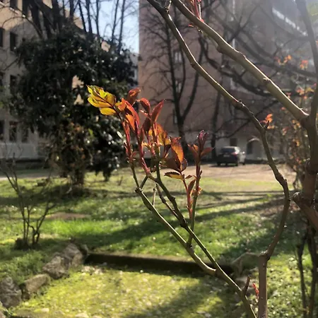 Missori Rose Garden View * Mediolan