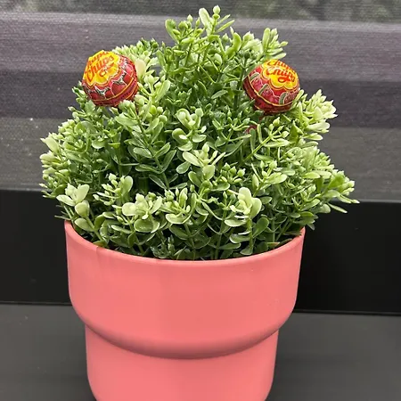 Tree House - Stylish Loft In The Heart Of * Milão