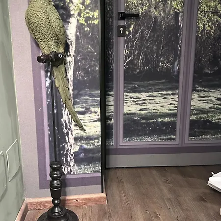 Tree House - Stylish Loft In The Heart Of *