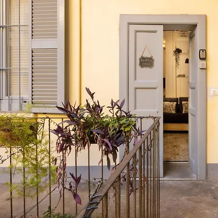 Tiny & Tidy In The Key Area Of Daire Milano