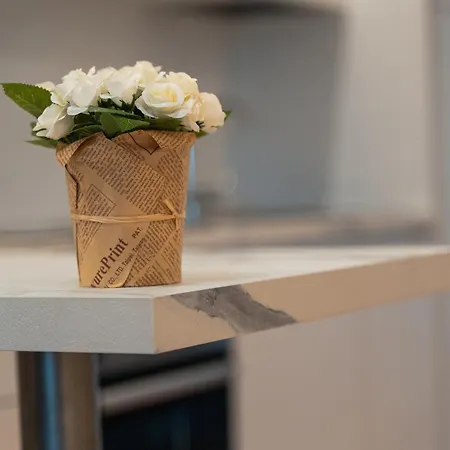 Ray 2 San Siro Milán