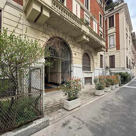 Sciesa - New Exclusive