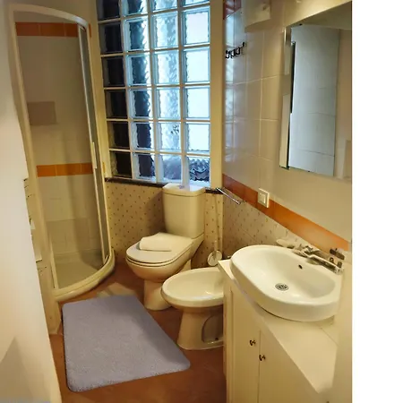 Vfh Guicciardini Stylish *