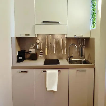 Vfh Guicciardini Stylish *