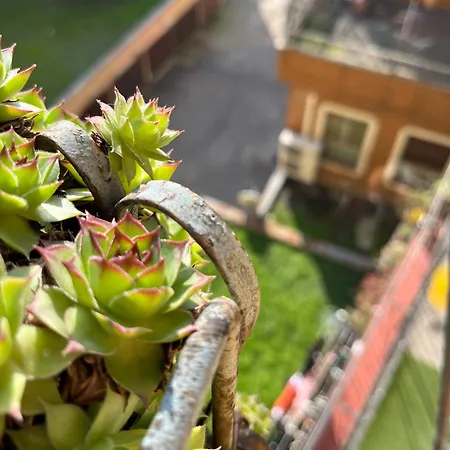 Navigli Mario Porta Genova Lägenhet