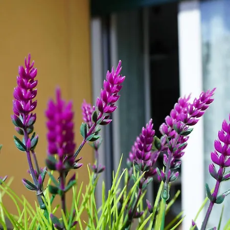 Grimani - At Your Place * Mediolan