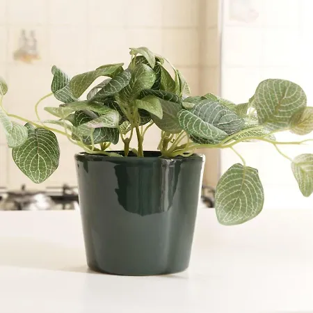 Fogagnolo's House - Vicino Metropolitana Milánó