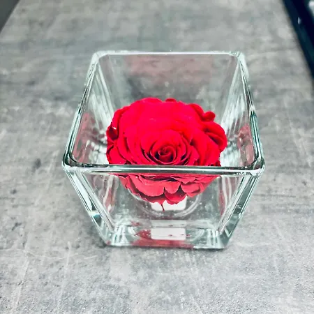 Certosa Fiera Bed and breakfast *