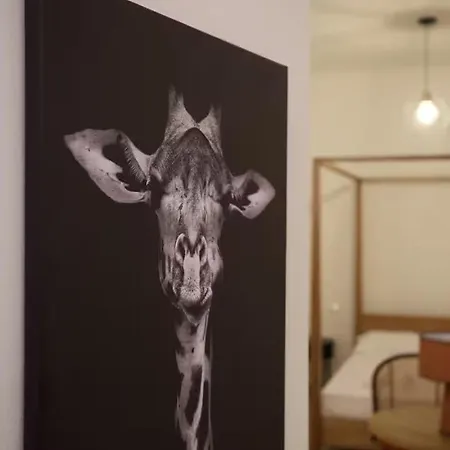 Apartamento Flat Number 14