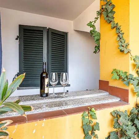 Porta Venezia Color And Design In Buenos Aires *