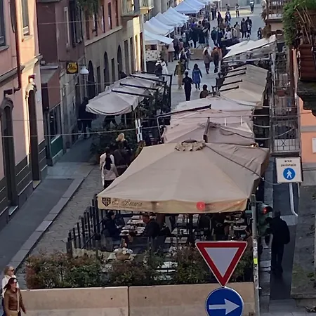 Brera's Elite *