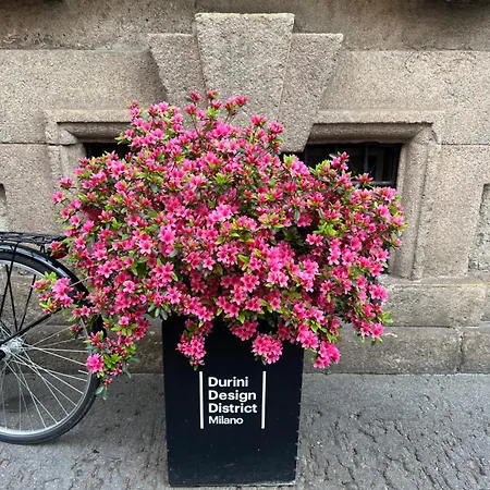 Design District Luxury Апартаменты *