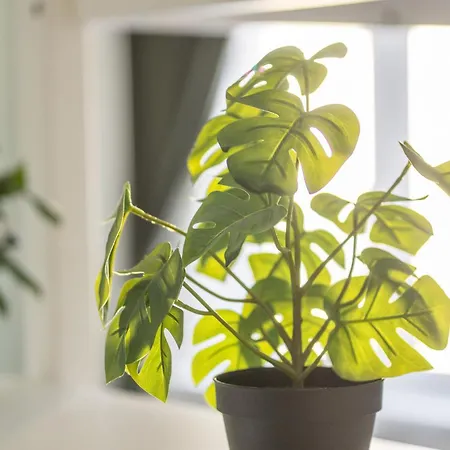 Appartement Il Perfetto - Comfort E Stile Milaan