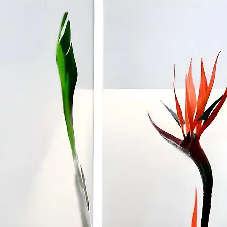 Sottocorno White, Historic Center, *