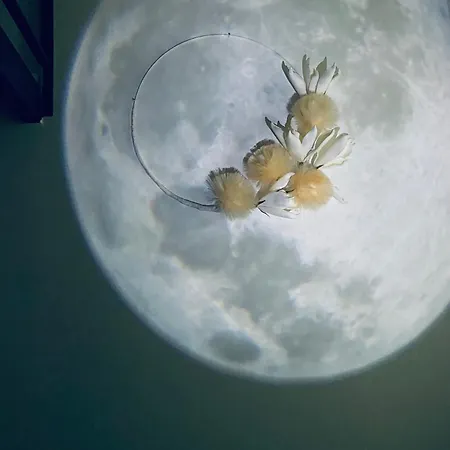 Isola View Bosco Verticale