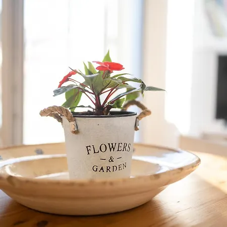 Appartement Station 3 Design Apartaments-2 Apts With Parking -1 With Balcony, No Box- Olympic Hub- Town Homes