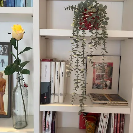 Flavia Flexyrent Ac Apartman