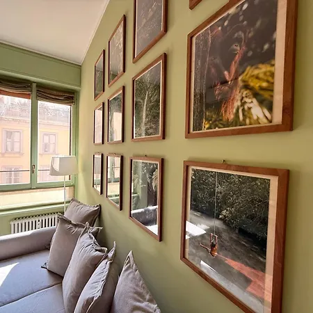 Urban Jungle 5 - Montenapoleone * Milano