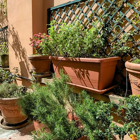 Alma Vacation In The Centre, Big Terrace