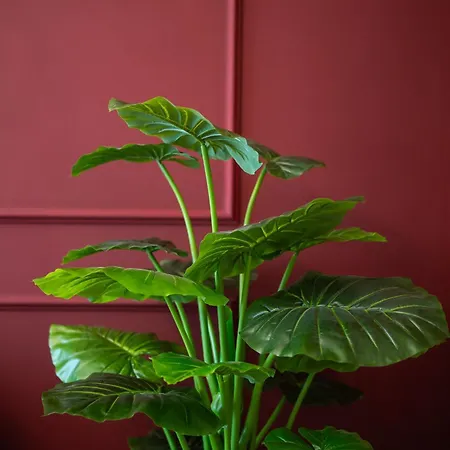 Velvet House 26 - Center By Innstay Милан