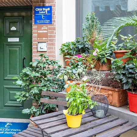 Studi 1 - Collection 4*