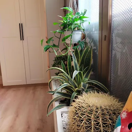 Cityloft Milano, Two Meters From Metro Station For The Duomo Apartmán Milán