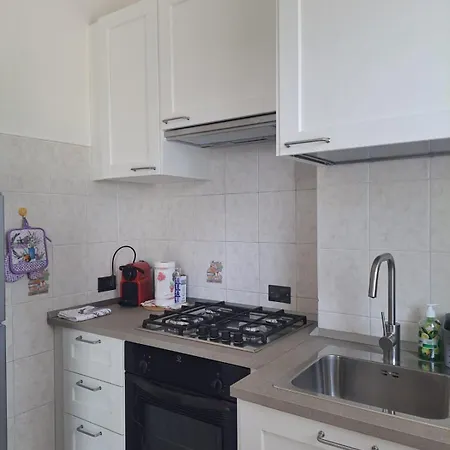 Casaelvi Cortina 2026