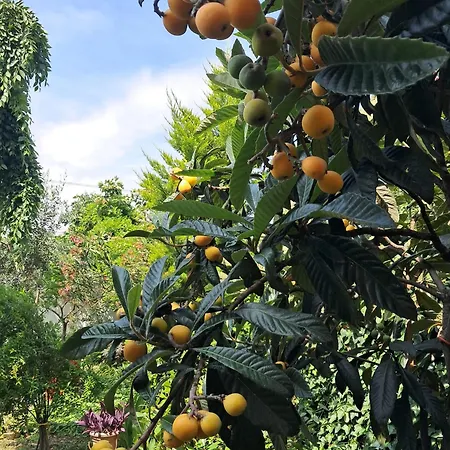 With A Garden Quarto em Acomodações Particulares *