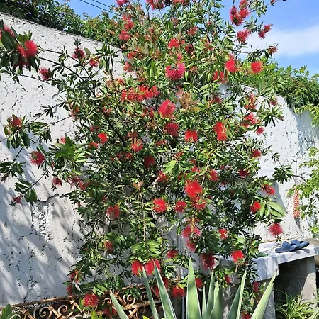 With A Garden Milánó