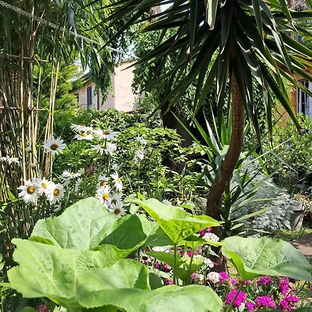 Quarto em Acomodações Particulares With A Garden