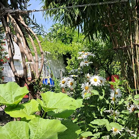 With A Garden Homestay szállás Milánó