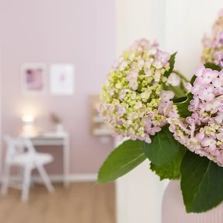 Casa Harmonia In San Siro Appartamento Milano