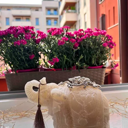 Mico-5min Sansiro-8min Duomo *