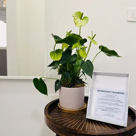 Appartement Urban Lounge