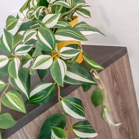 Stayeasy Melloni - 3 Rooms, 2 Baths - Center 公寓 *