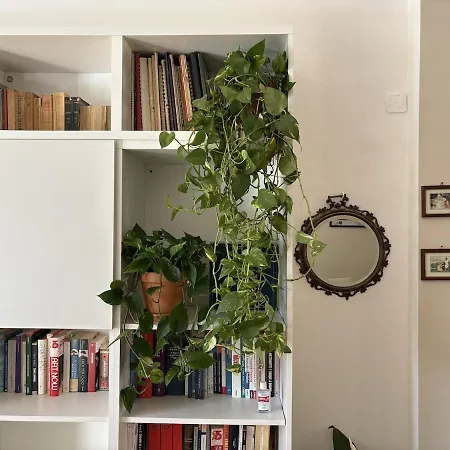 Little 5 - Lm5 Appartement *