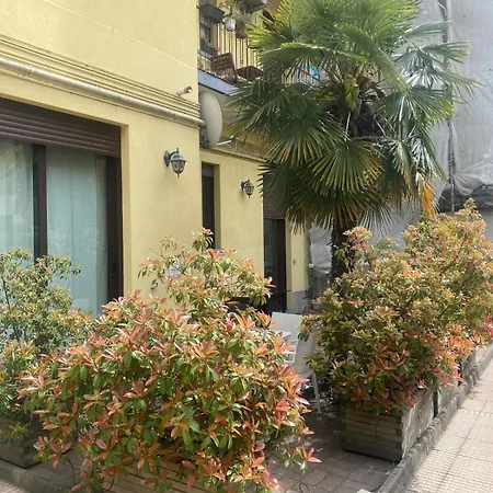 Apartmán Artist S 80 Mq With Garden And Palm Tree