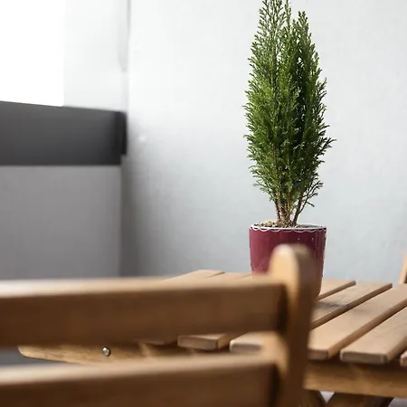 Ripamonti - Elegant *