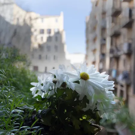 Maggi - New Beautiful In The Center Mailand