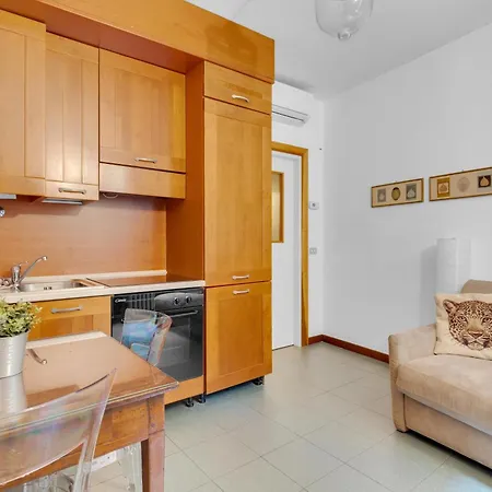 Centric Flat Apartment