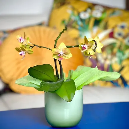 La Milanesina Апартаменты *