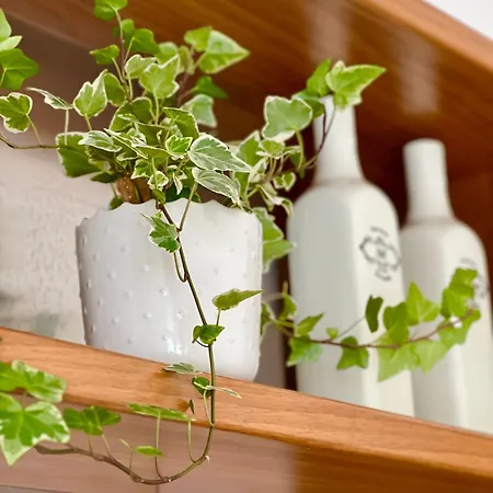 Апартаменты La Milanesina *