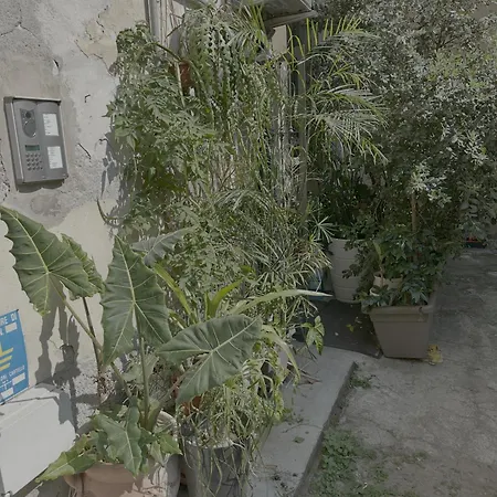Next To Bocconi Daire *