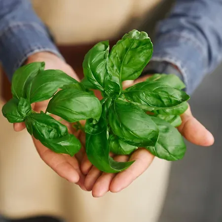 فندق هيلتون ميلانو ميلان