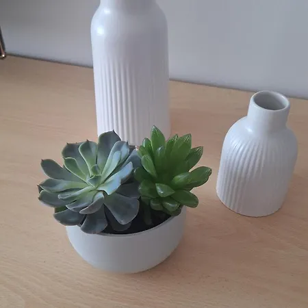 Apartmento Casa 48 - - San Raffaele - Olimpiadi Cortina ミラノ