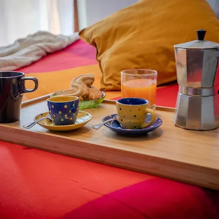 Daire Arena Olimpica