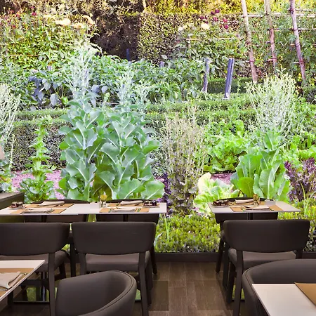 فندق ستارهوتيلز إيشو