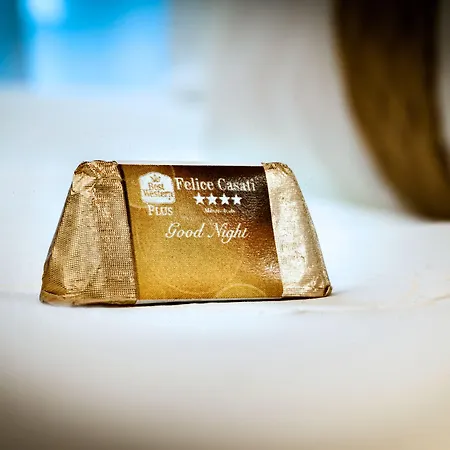 Ξενοδοχείο Worldhotel Casati 18 4*